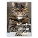 Suche nach wütende katze Lustig