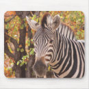 Suche nach büsche mousepads Safari