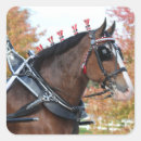 Suche nach clydesdales aufkleber Zugpferd
