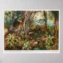 Suche nach tropische pflanzen poster Exotisch