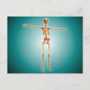 Suche nach perspektive postkarten Farbbild