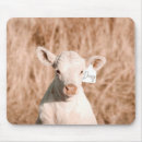Suche nach niedliches kalb mousepads Bauernhof