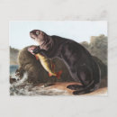 Suche nach sea otter poster Wildtiere