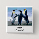 Suche nach pinguin quadratische buttons Pinguine