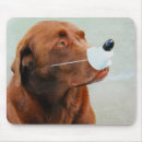 Suche nach drei tiere mousepads Länge mit drei vierteln