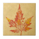 Suche nach ahorn fliesen Blatt