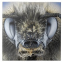 Suche nach hummel fliesen Insekt