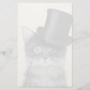 Suche nach graukatze Steamhakkatzen
