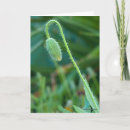 Suche nach neuer anfang karten Glückwünsche