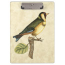 Suche nach vögel klemmbrett Ast