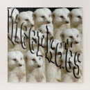 Suche nach mekka puzzle Meerkat