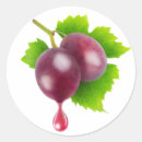 Suche nach lila beeren aufkleber Foto