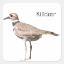 Suche nach killer aufkleber Wasser