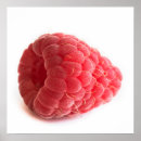 Suche nach himbeeren poster Rot