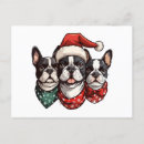 Suche nach boston terrier cartoon postkarten Lustig