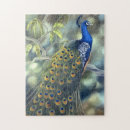 Suche nach bunte vögel puzzle Federn