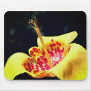 Suche nach gepunktet mousepads Blume