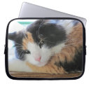 Suche nach miezekatze laptop schutzhüllen Katzenliebhaber