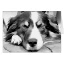 Suche nach herdenhund karten Tier