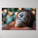Suche nach orang utan kunst Wild