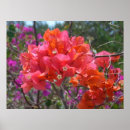Suche nach türkis blumen poster Pink