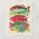 Suche nach great barrier reef postkarten Vintag