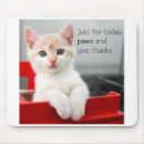 Suche nach tatzen mousepads Kätzchen