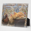 Suche nach huhn fotoplatten Hühner