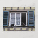 Suche nach katze fenster poster Alt