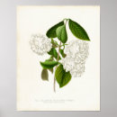 Suche nach buchzeichen poster Blume