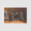 Suche nach great dane welpe Hund