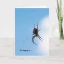 Suche nach spinne karten Fehler
