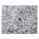 Suche nach schnee fotodruck Winter