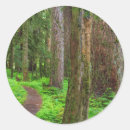 Suche nach paulson aufkleber Wald