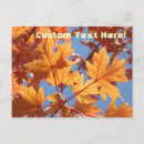 Suche nach buntes herbstblatt poster Herbstlaub