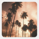 Suche nach belize aufkleber Niemand