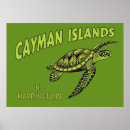 Suche nach cayman islands poster Kaiman