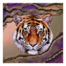 Suche nach mystic poster Natur