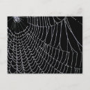 Suche nach tau poster Landschaft