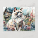 Suche nach ragdoll postkarten Cat