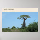 Suche nach baobab poster Madagaskar