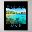 Suche nach hawaii reise poster Surfen