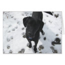 Suche nach lorbeer postkarten Lustig