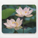 Suche nach weiße blüten mousepads Blühen