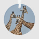 Suche nach safari ornamente Giraffe