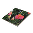 Suche nach tulip fliesen Fotografie