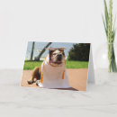 Suche nach bulldogge karten Lustig