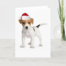 Suche nach sankt karten Terrier