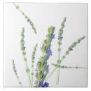 Suche nach lavendel blume fliesen Natur