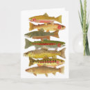 Suche nach montana alle karten Fliege